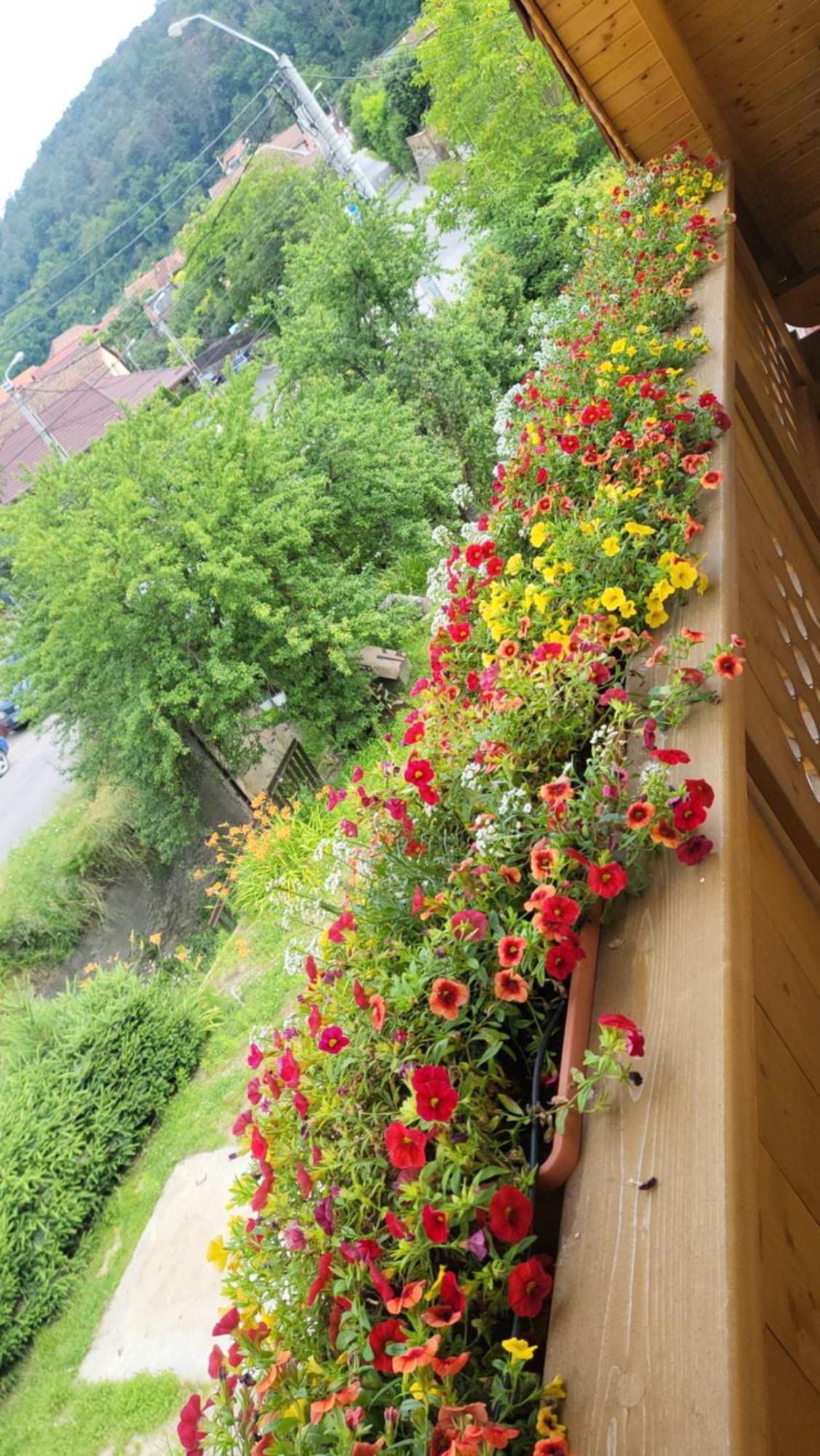 Casa Hetrea Villa Sighisoara Luaran gambar